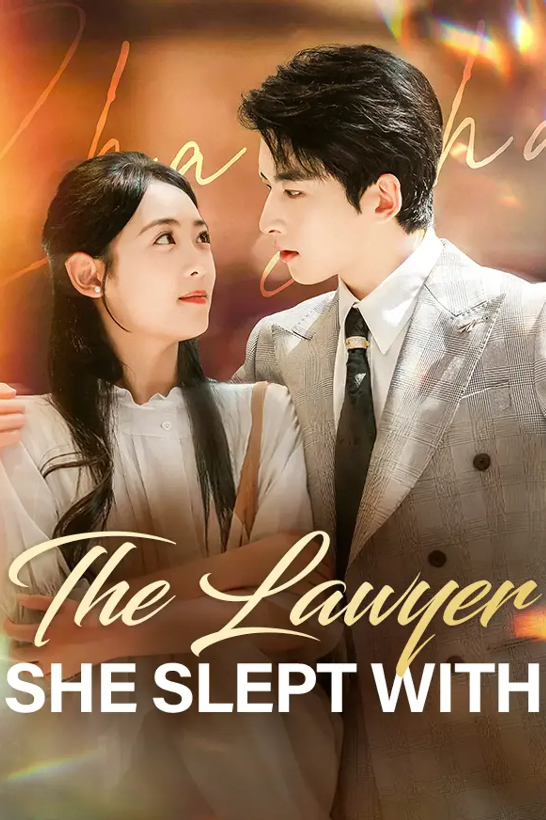 The Lawyer She Slept With poster
