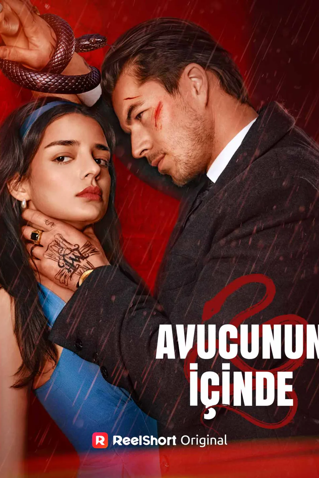 Avucunun İçinde afişi