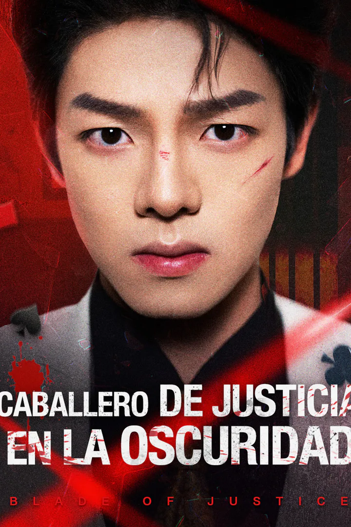 Póster de Caballero de justicia en la oscuridad