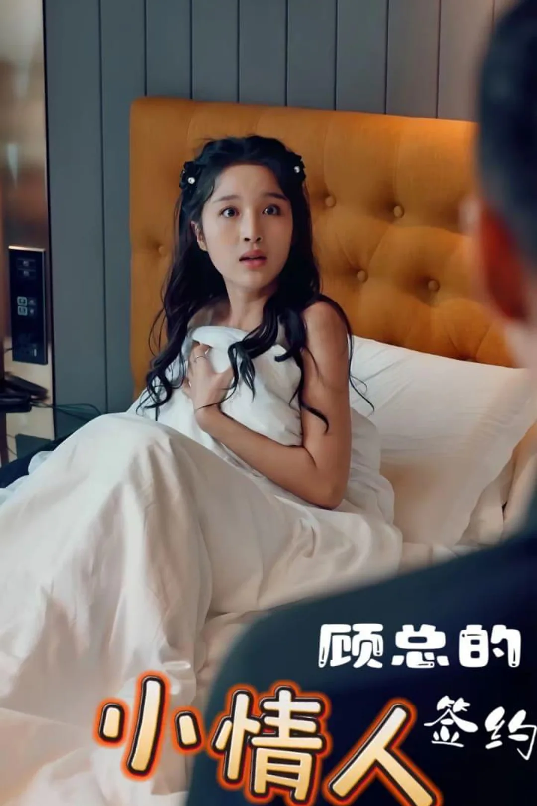《顾总的签约小情人》海报