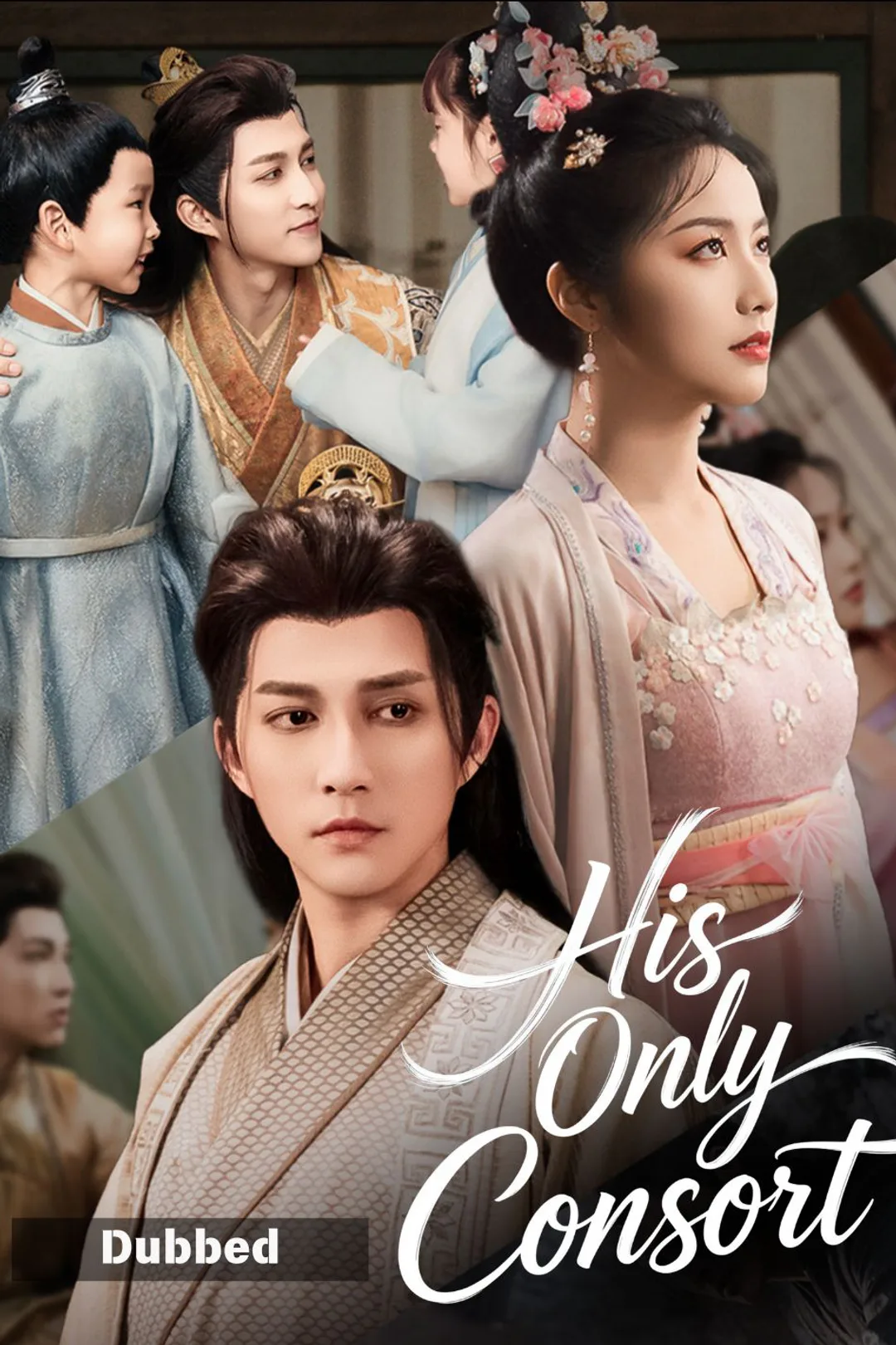 His Only Consort poster