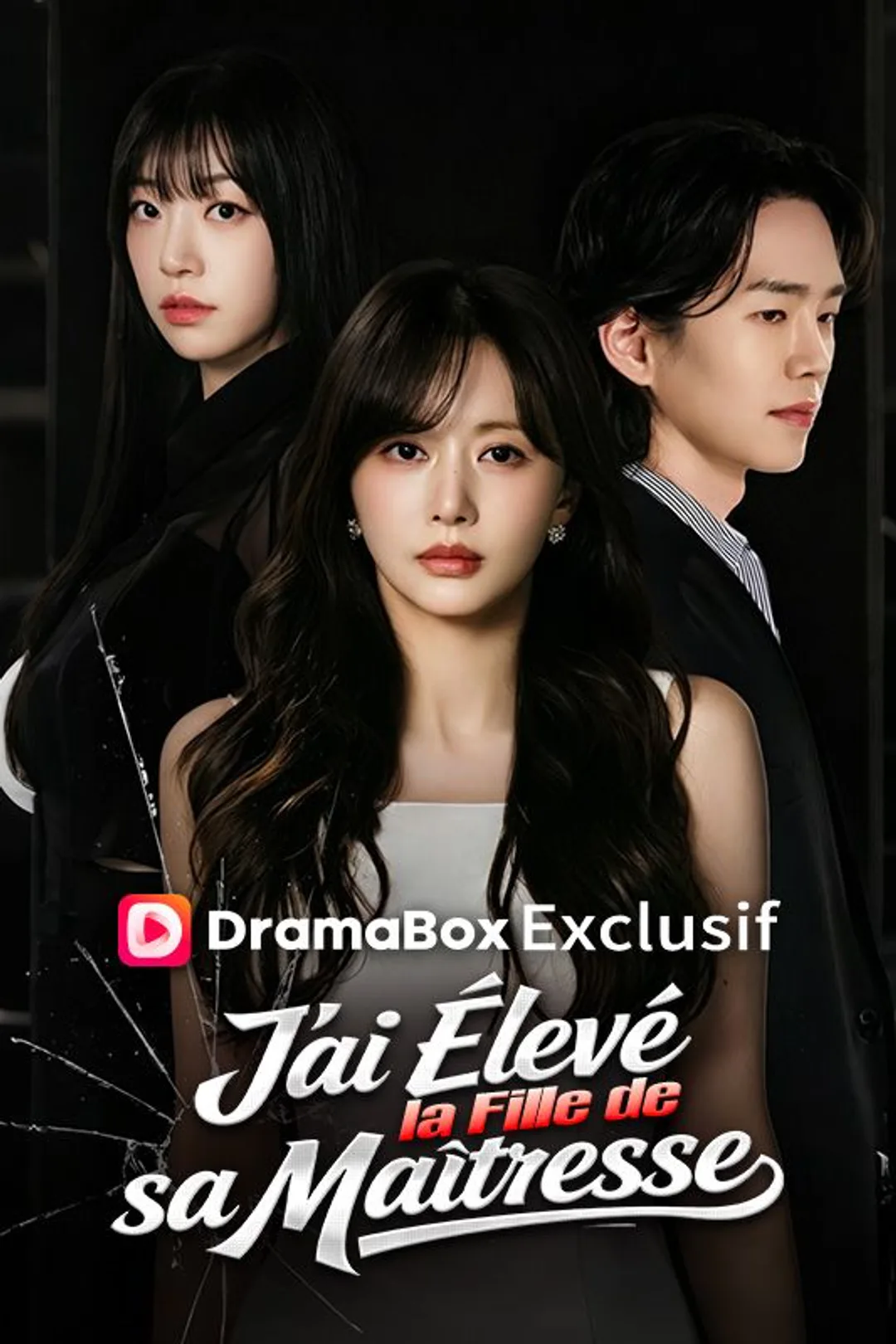 Affiche de J'ai Élevé la Fille de sa Maîtresse