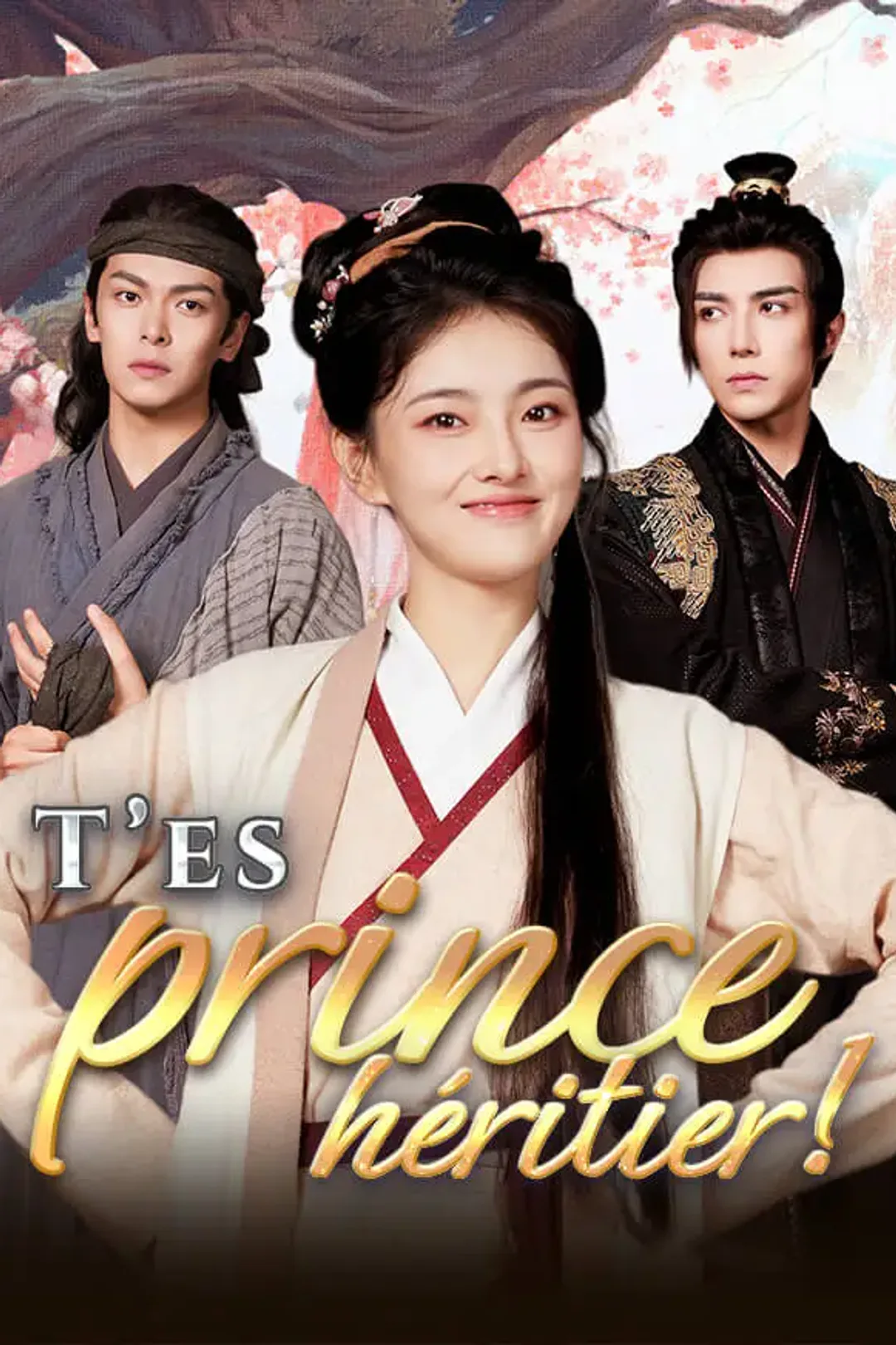 Affiche de T’es prince héritier !