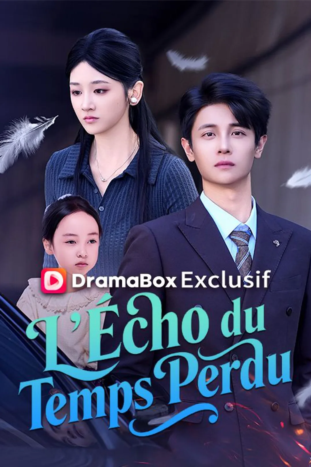 Affiche de L'Écho du Temps Perdu