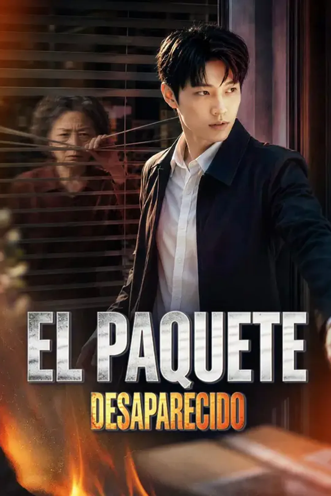 Póster de El paquete desaparecido