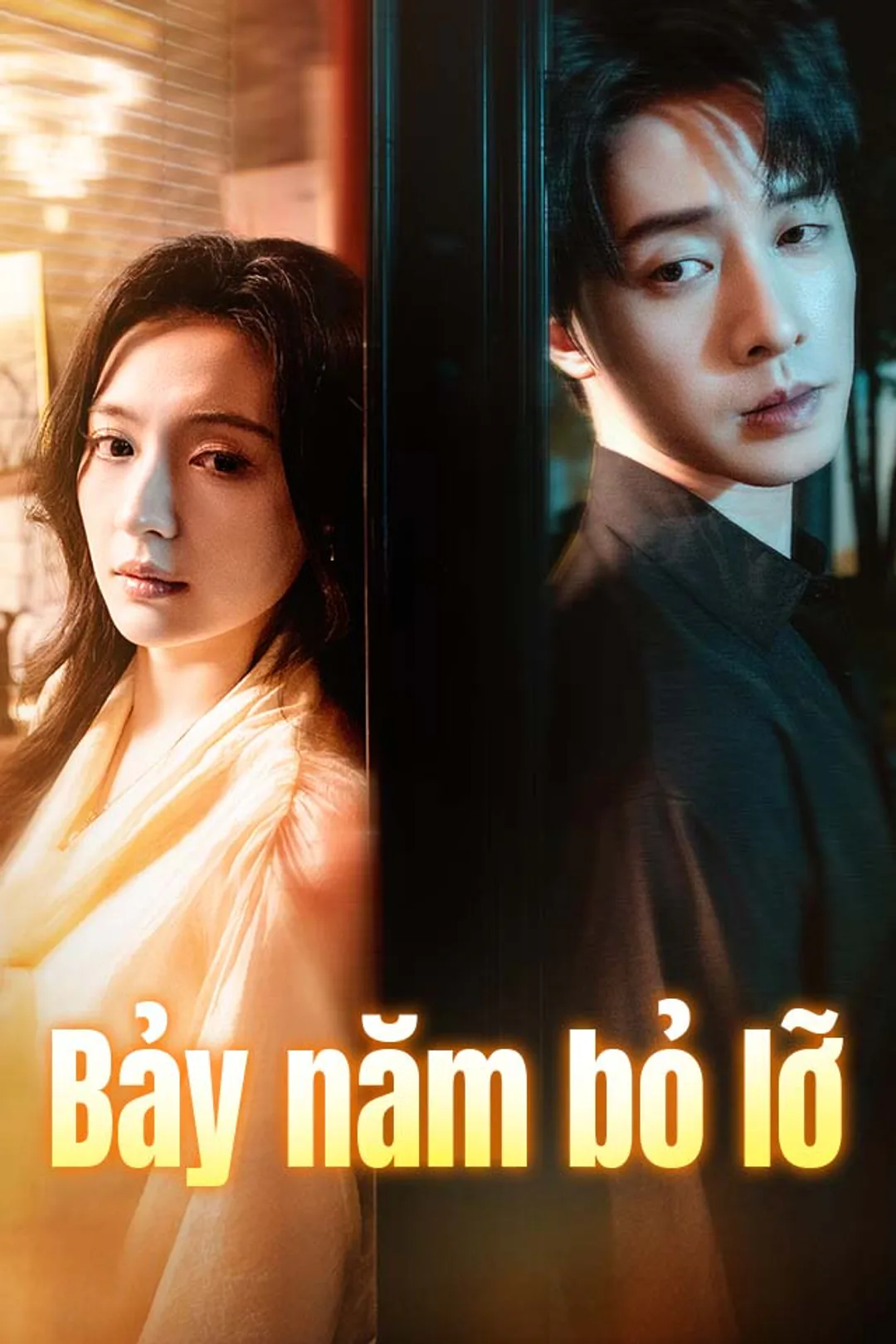 Poster phim Bảy năm bỏ lỡ