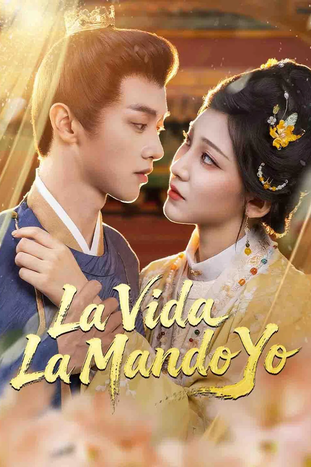 Póster de La Vida La Mando Yo