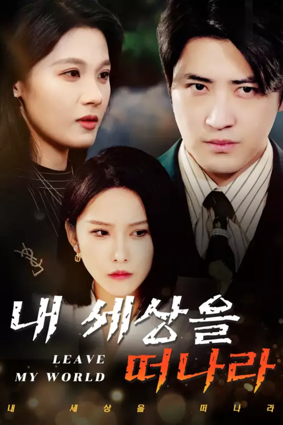 내 세상을 떠나라 포스터