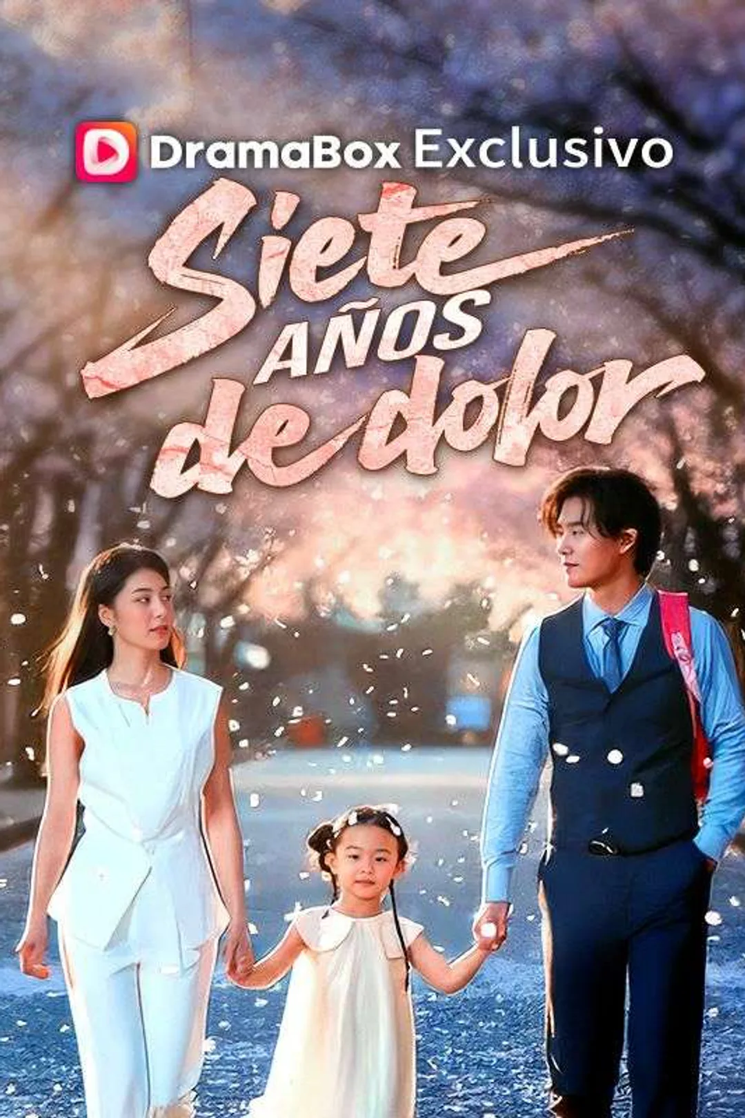 Póster de Siete años de dolor