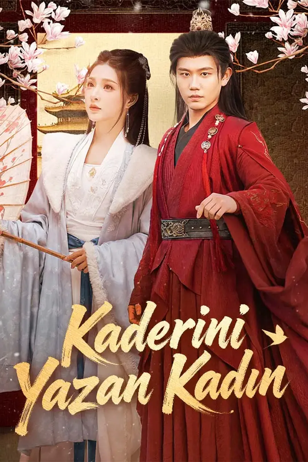 Kaderini Yazan Kadın afişi