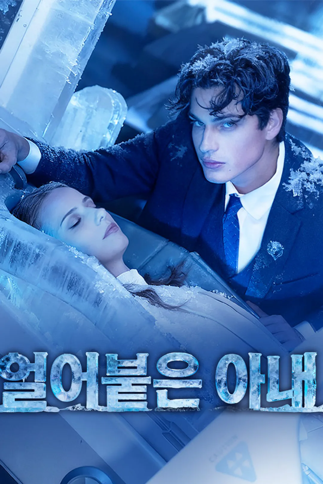 얼어붙은 아내 포스터