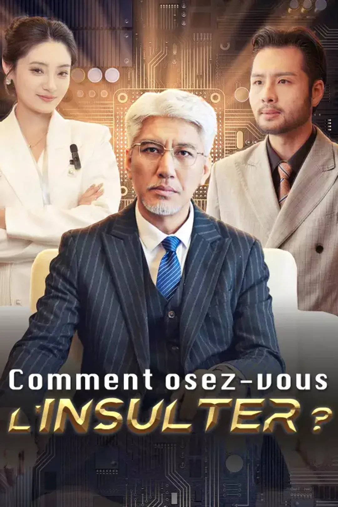 Affiche de Comment osez-vous l'insulter ?