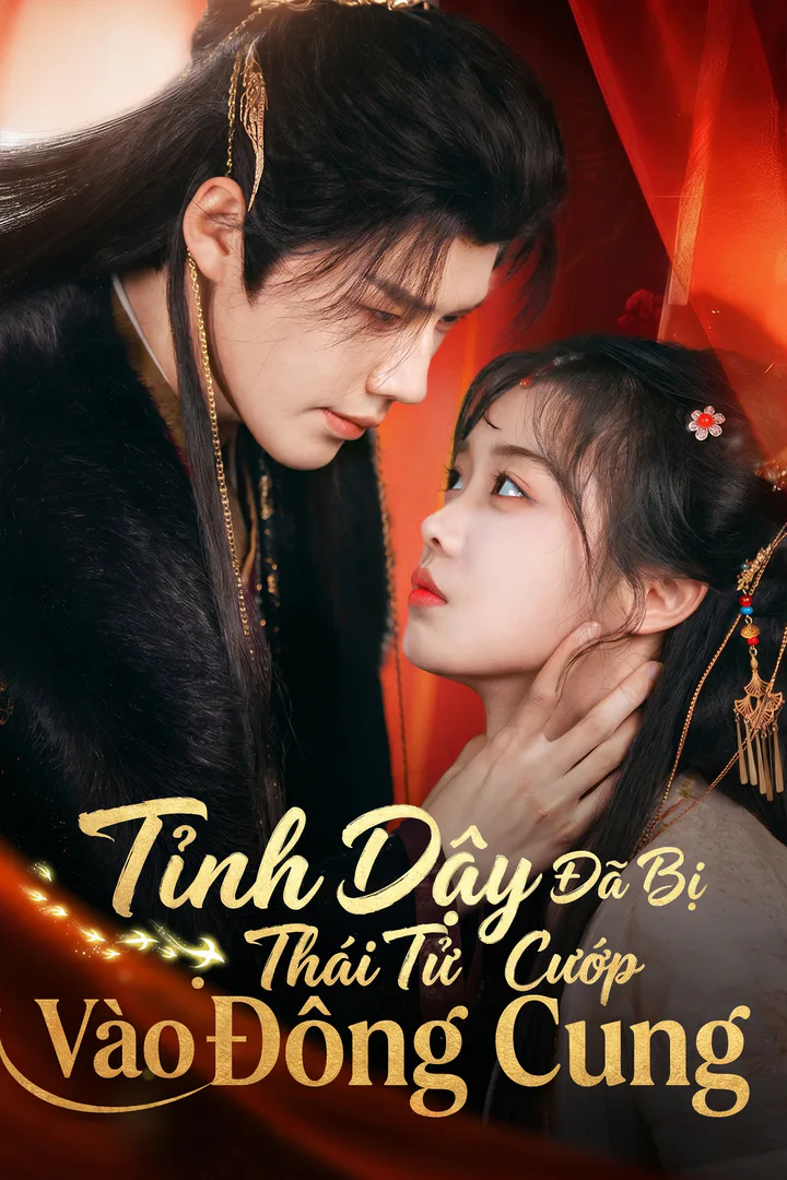 Poster phim Tỉnh Dậy Đã Bị Thái Tử Cướp Vào Đông Cung