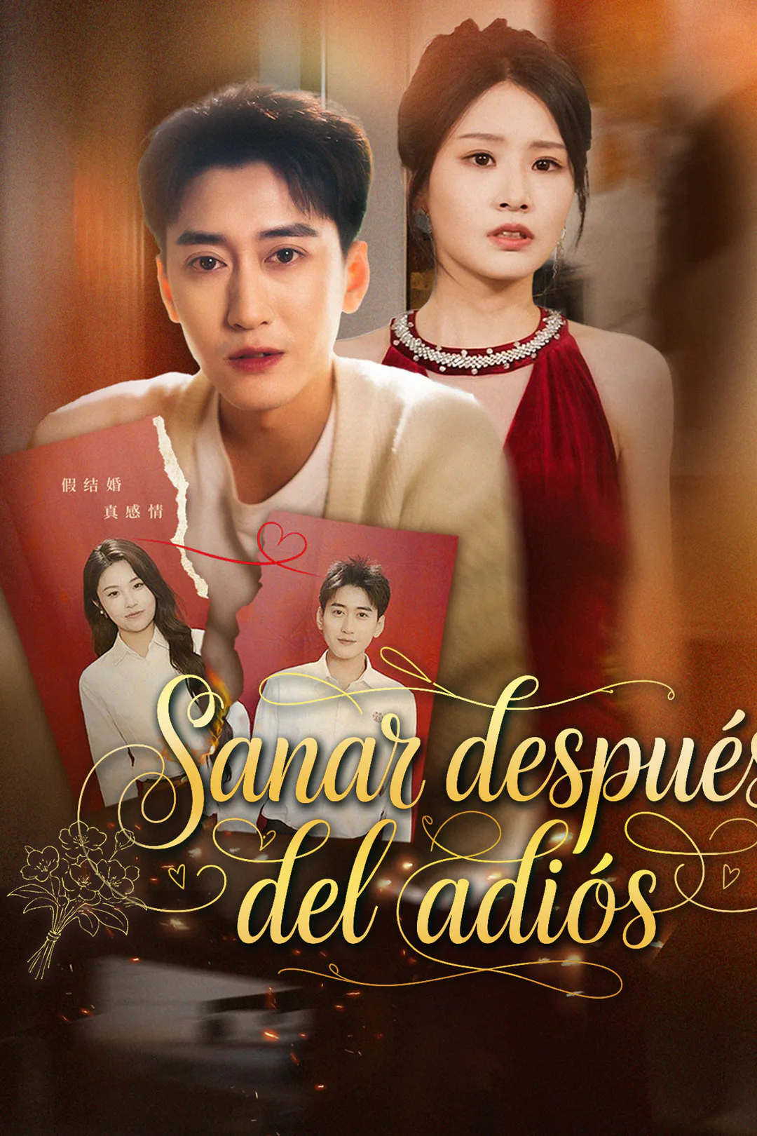 Póster de Sanar después del adiós