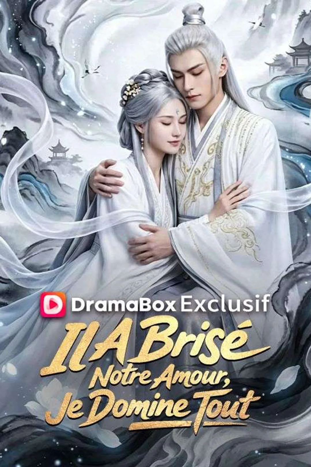 Affiche de Il A Brisé Notre Amour, Je Domine Tout