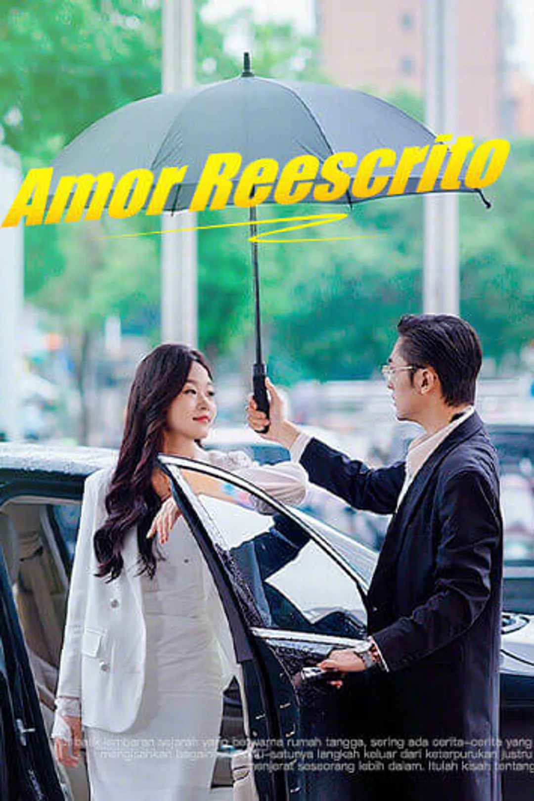 Póster de Amor Reescrito