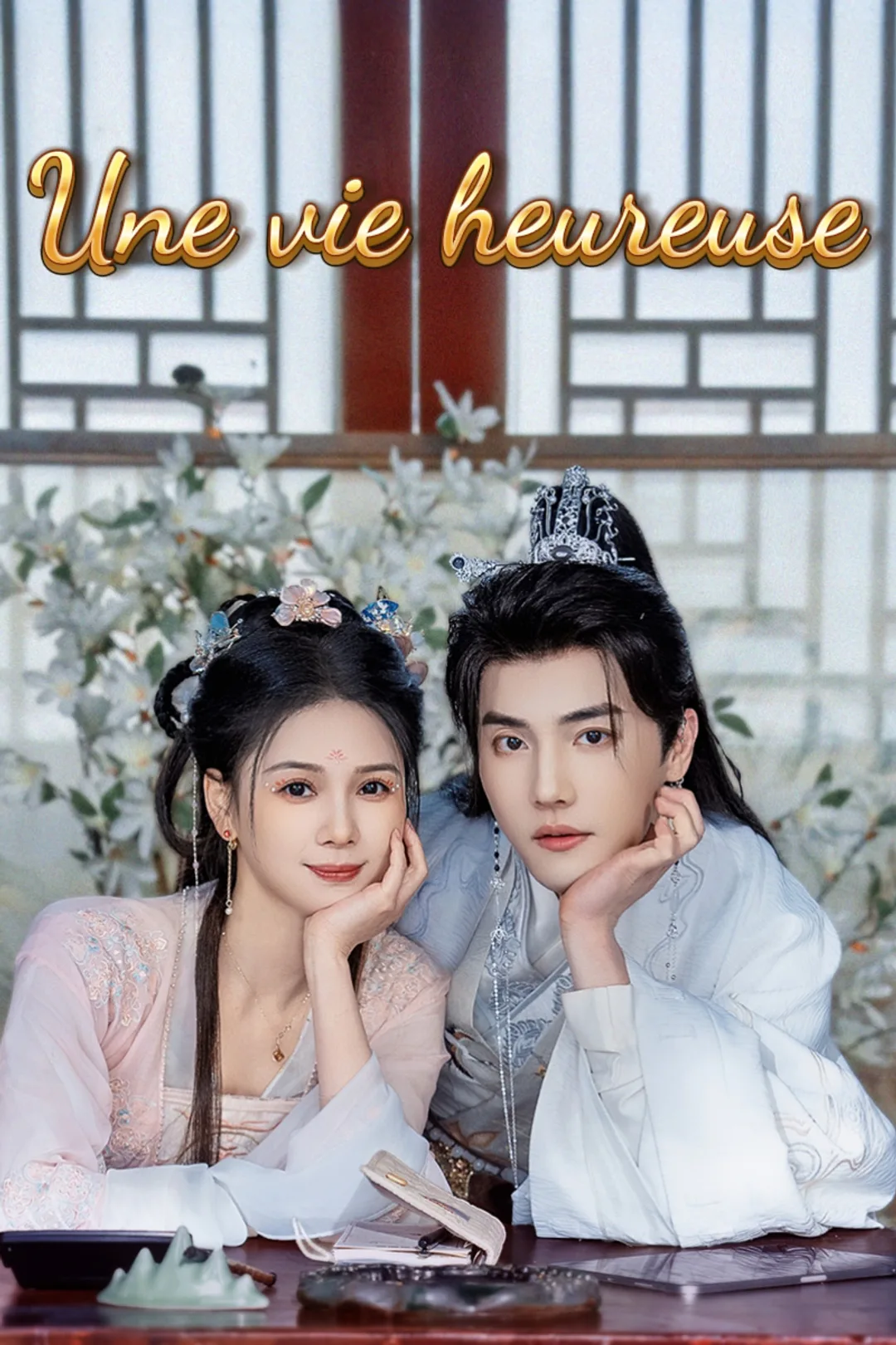 Affiche de Une vie heureuse