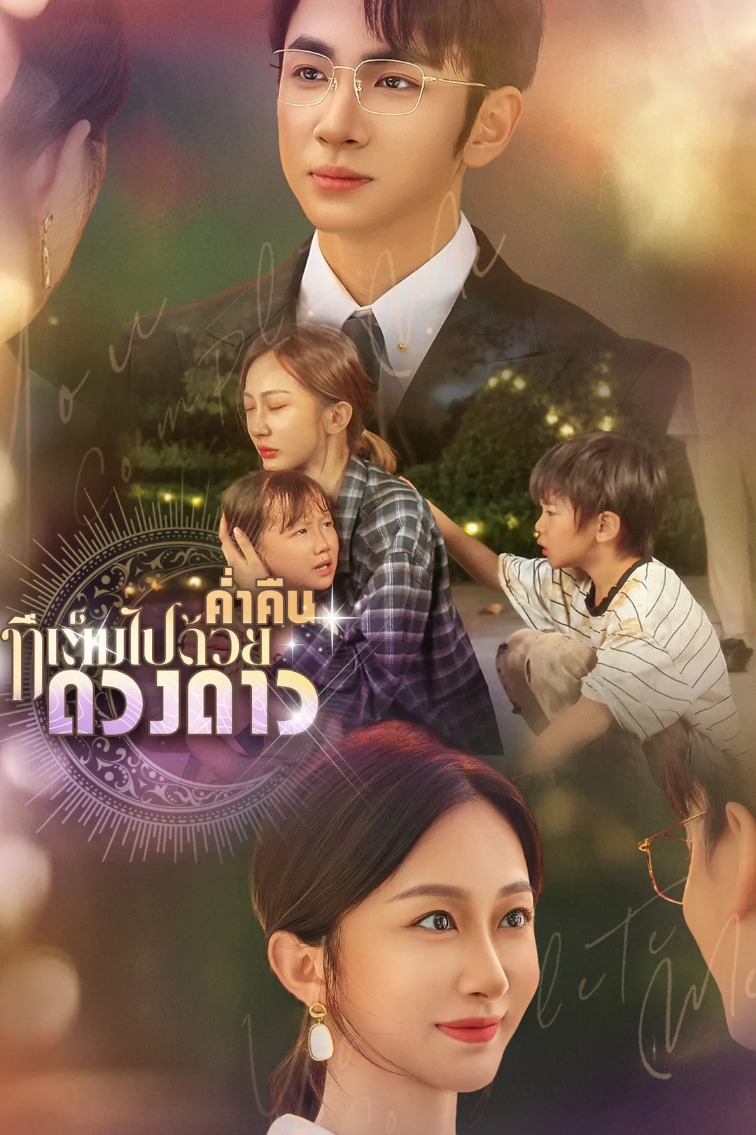 โปสเตอร์ ค่ำคืนที่เต็มไปด้วยดวงดาว