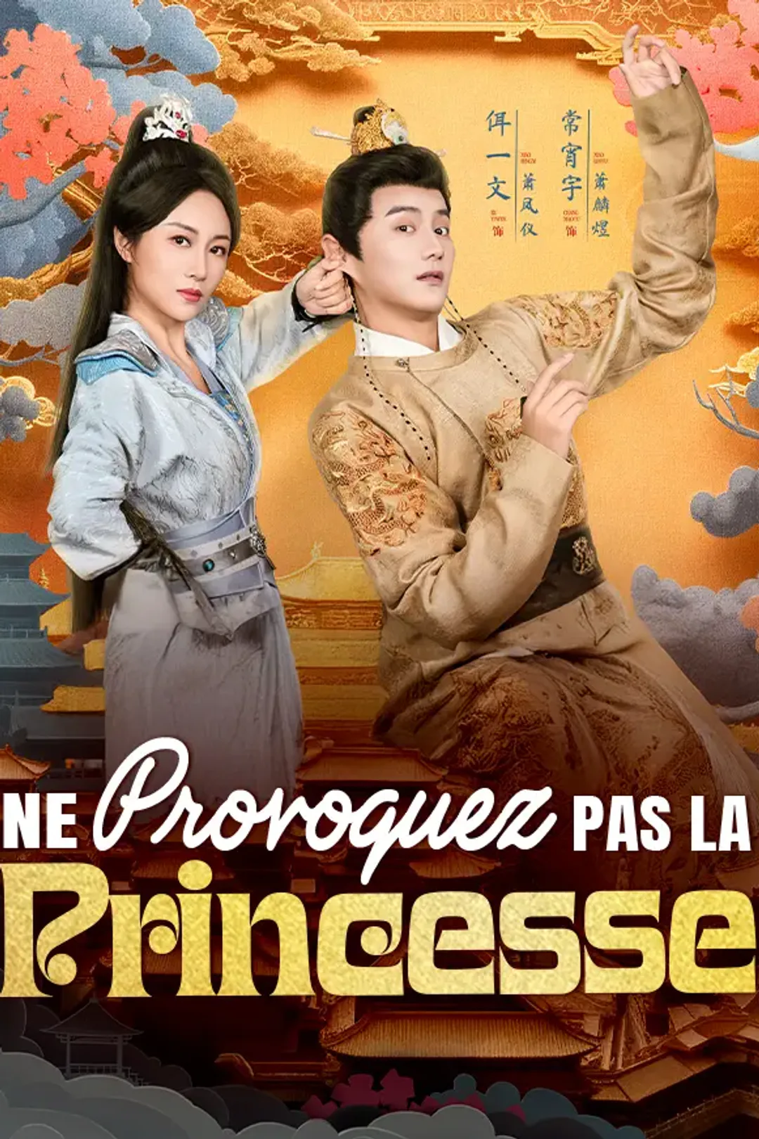 Affiche de Ne Provoquez Pas la Princesse