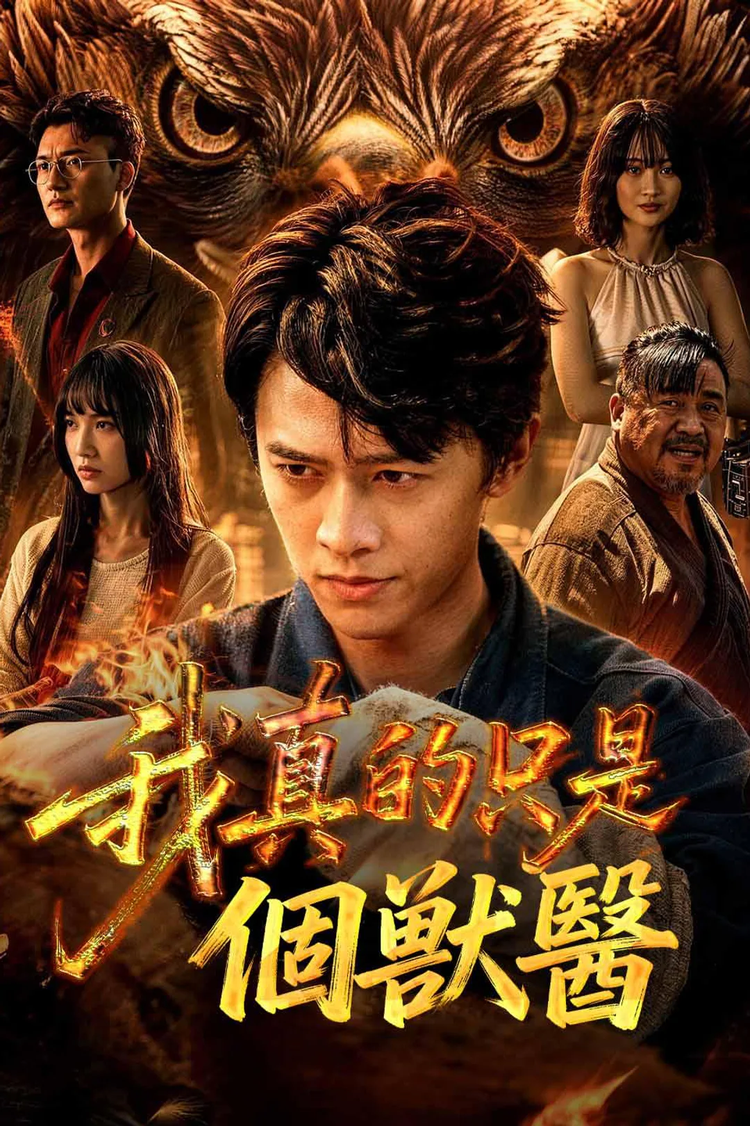 《我真的只是個獸醫》海報