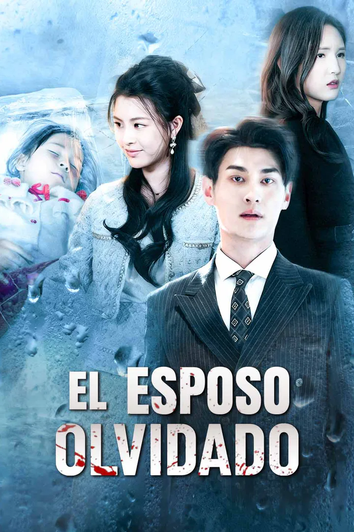 Póster de El esposo olvidado