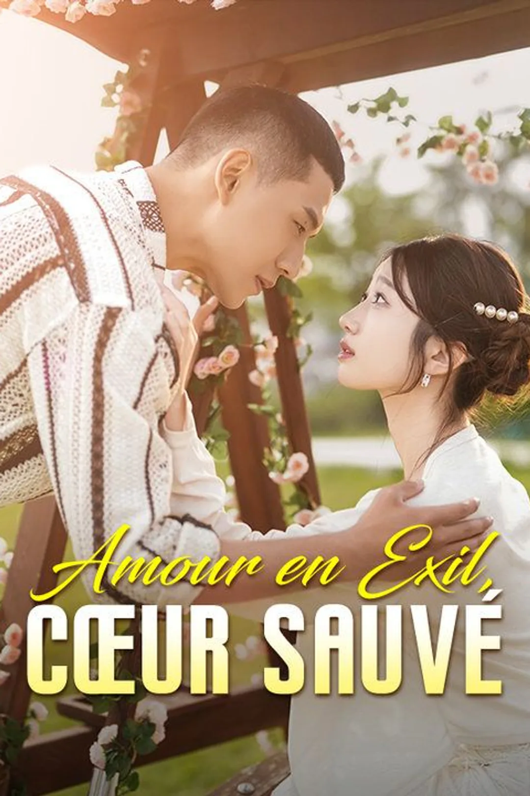 Affiche de Amour en Exil, Cœur Sauvé