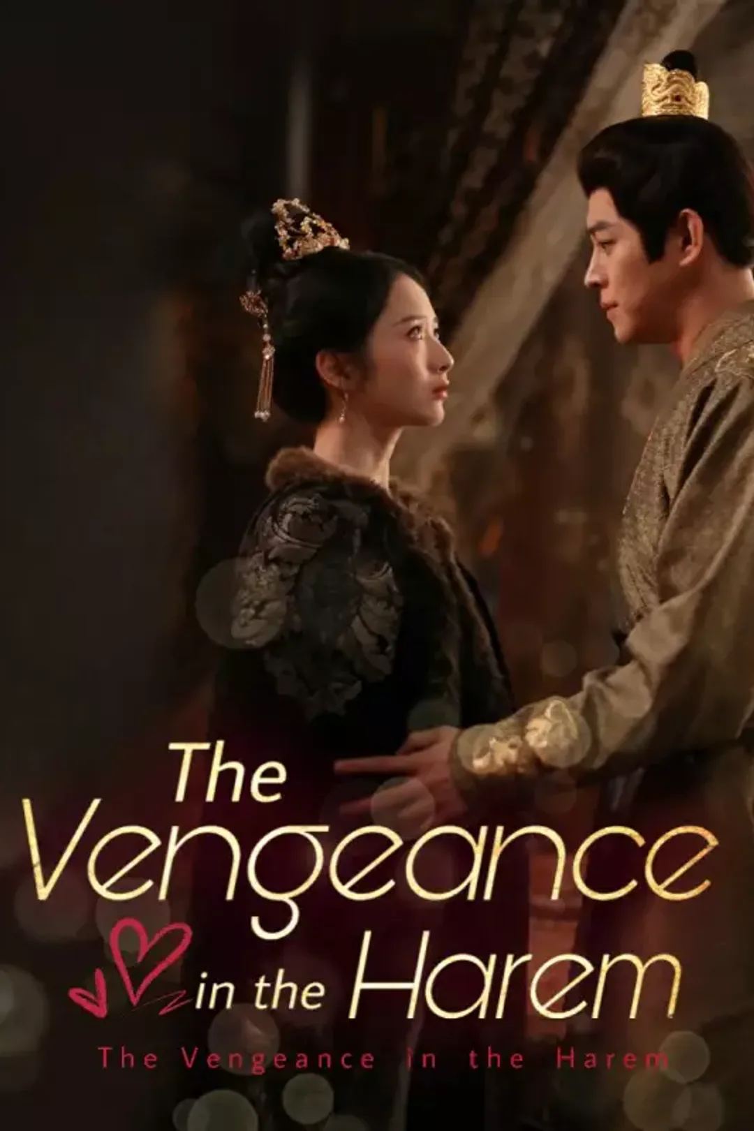 The Vengeance in the Harem poster