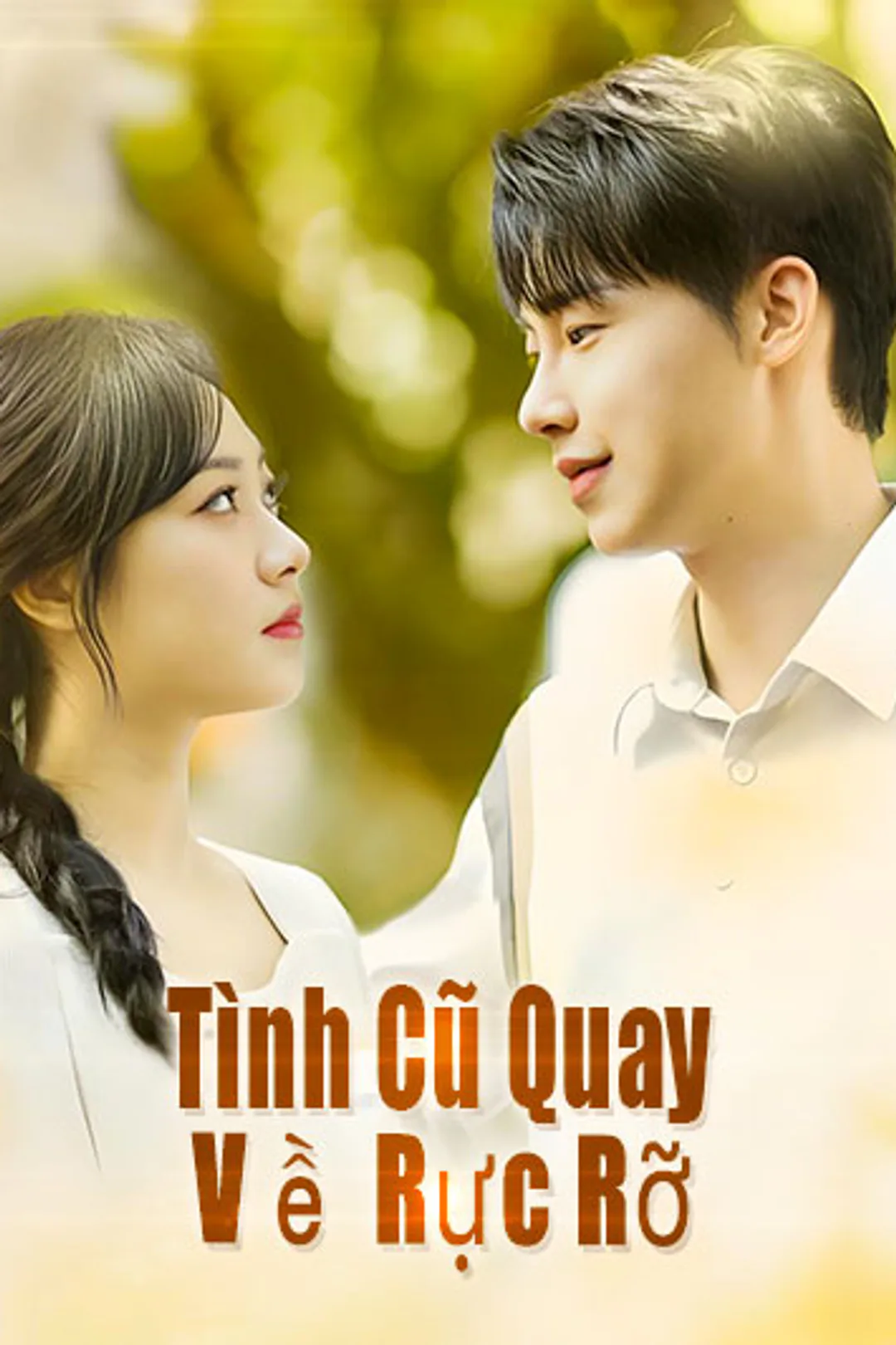 Poster phim Tình Cũ Quay Về Rực Rỡ