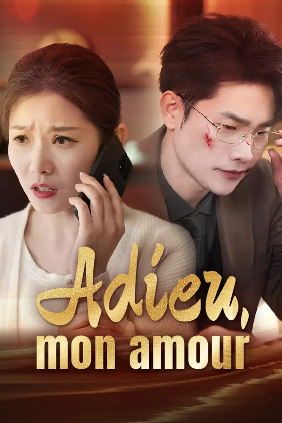 Affiche de Adieu, mon amour