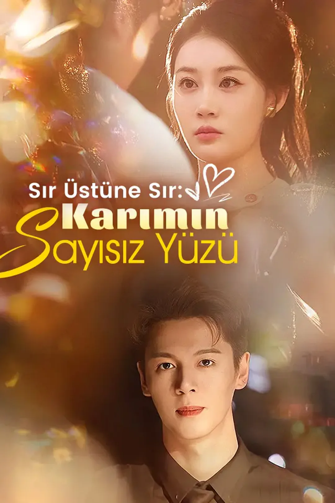 Sır Üstüne Sır: Karımın Sayısız Yüzü afişi