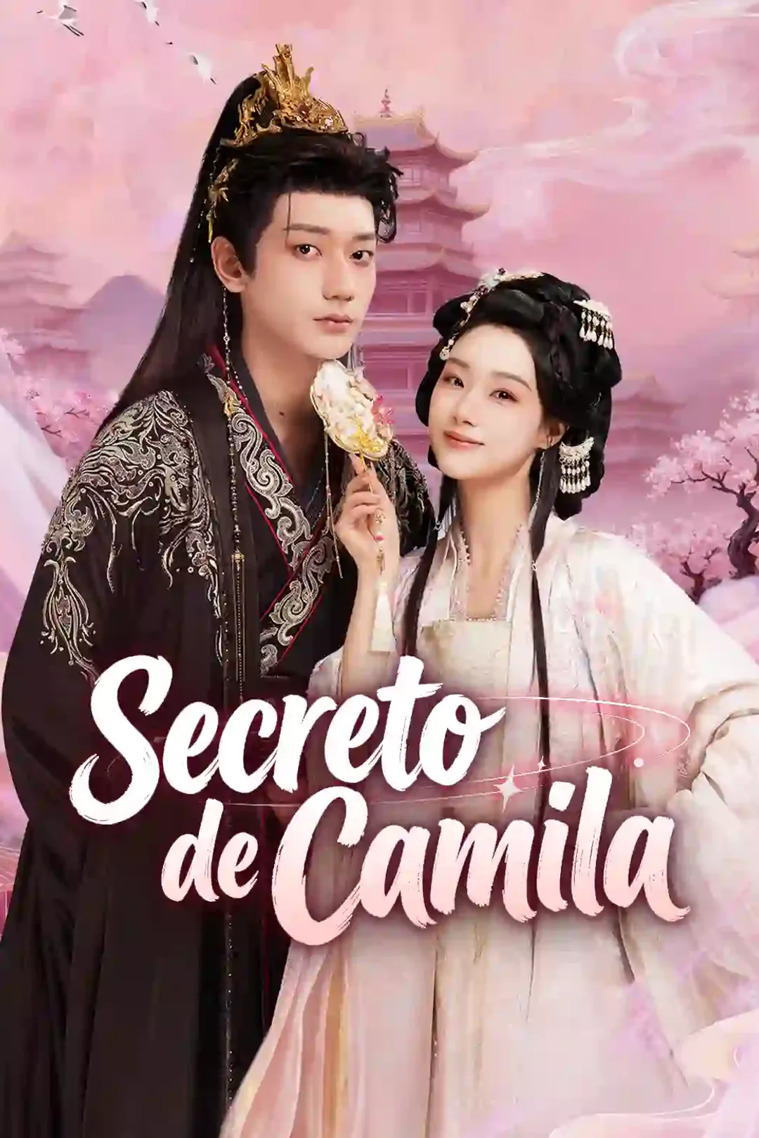 Póster de Secreto de Camila