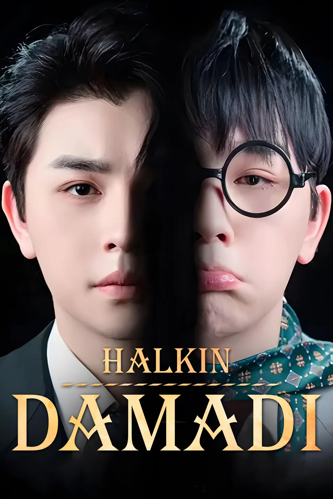 Halkın Damadı afişi