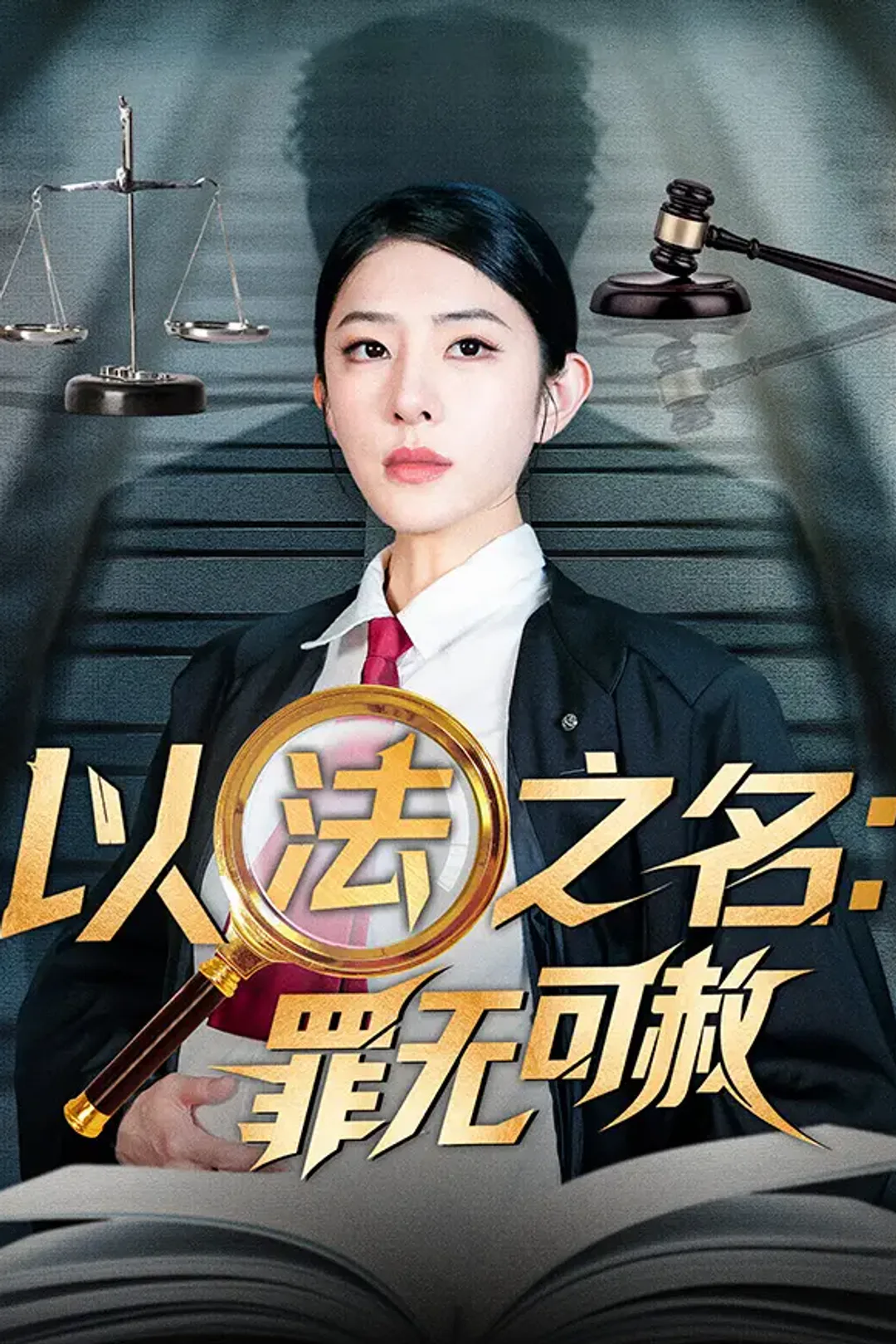 《以法之名：罪无可赦》海报