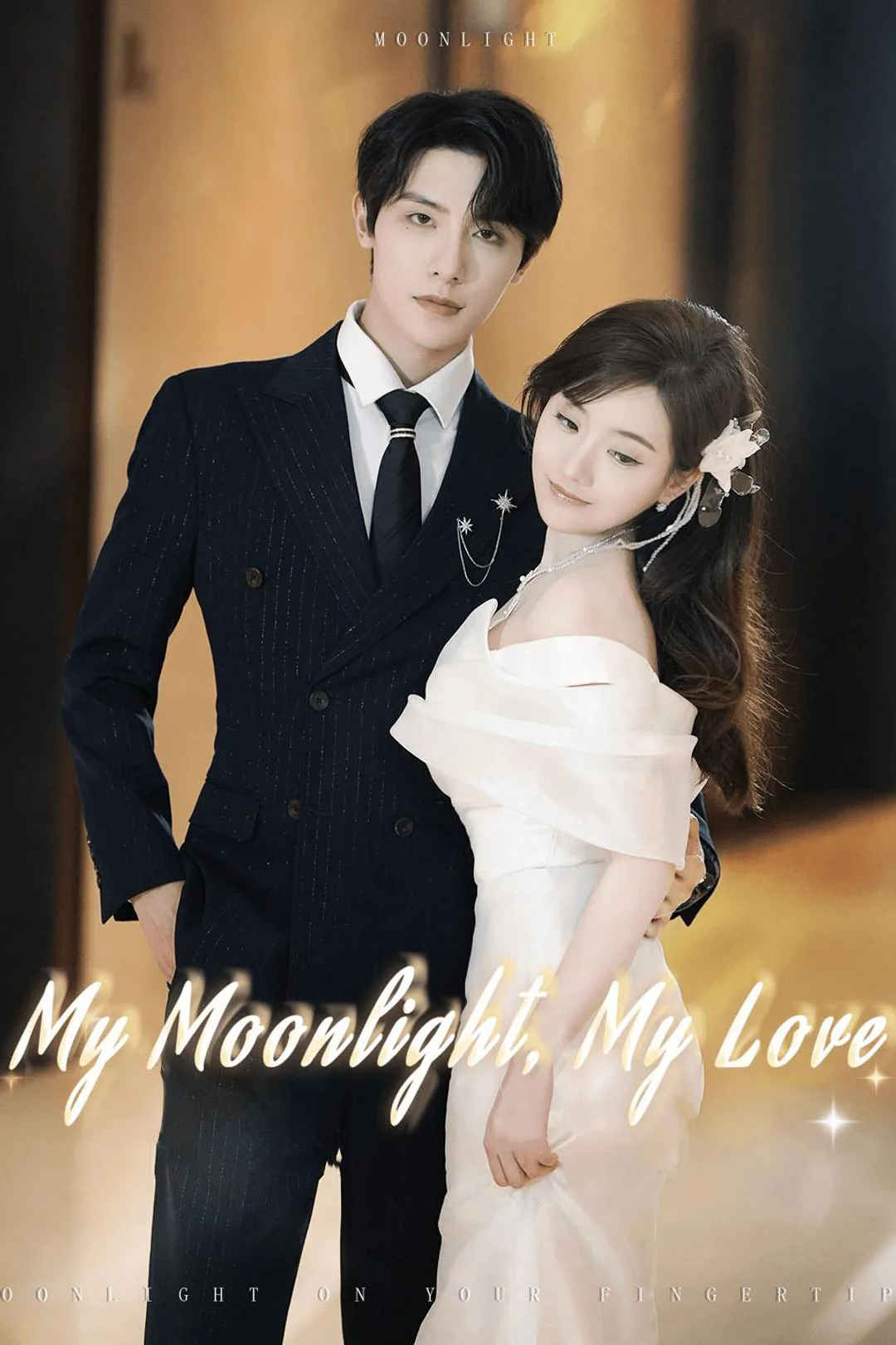 My Moonlight, My Love poster