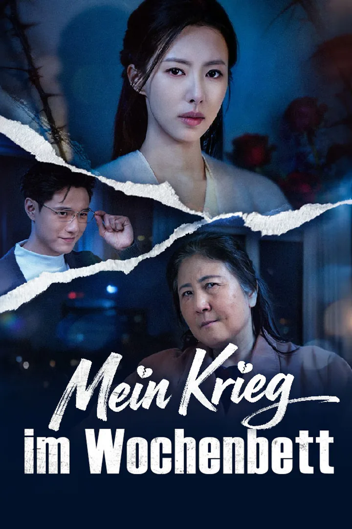 Poster von Mein Krieg im Wochenbett