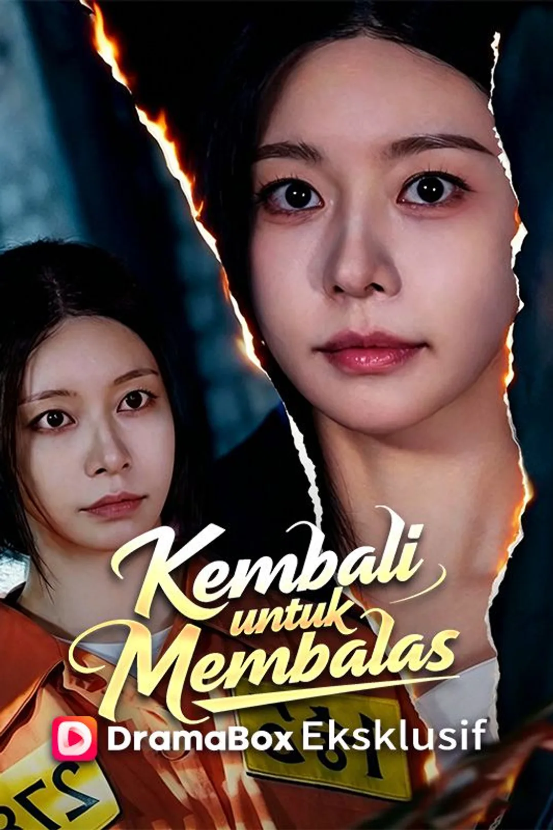 Poster Kembali untuk Membalas