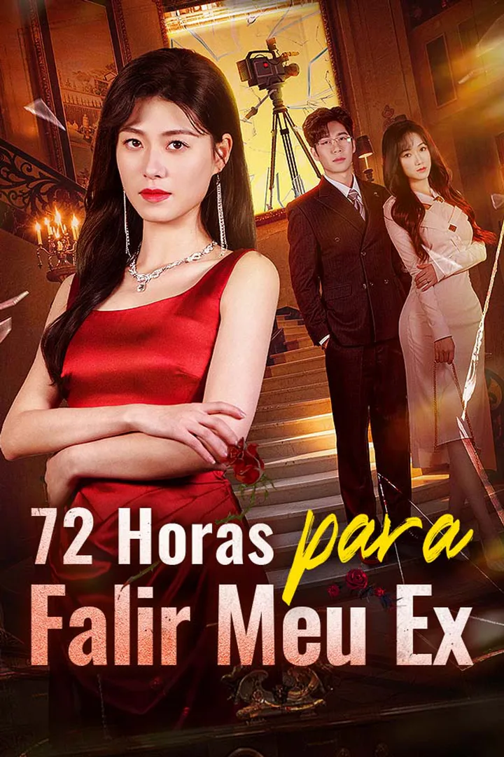 Pôster de 72 Horas para Falir Meu Ex