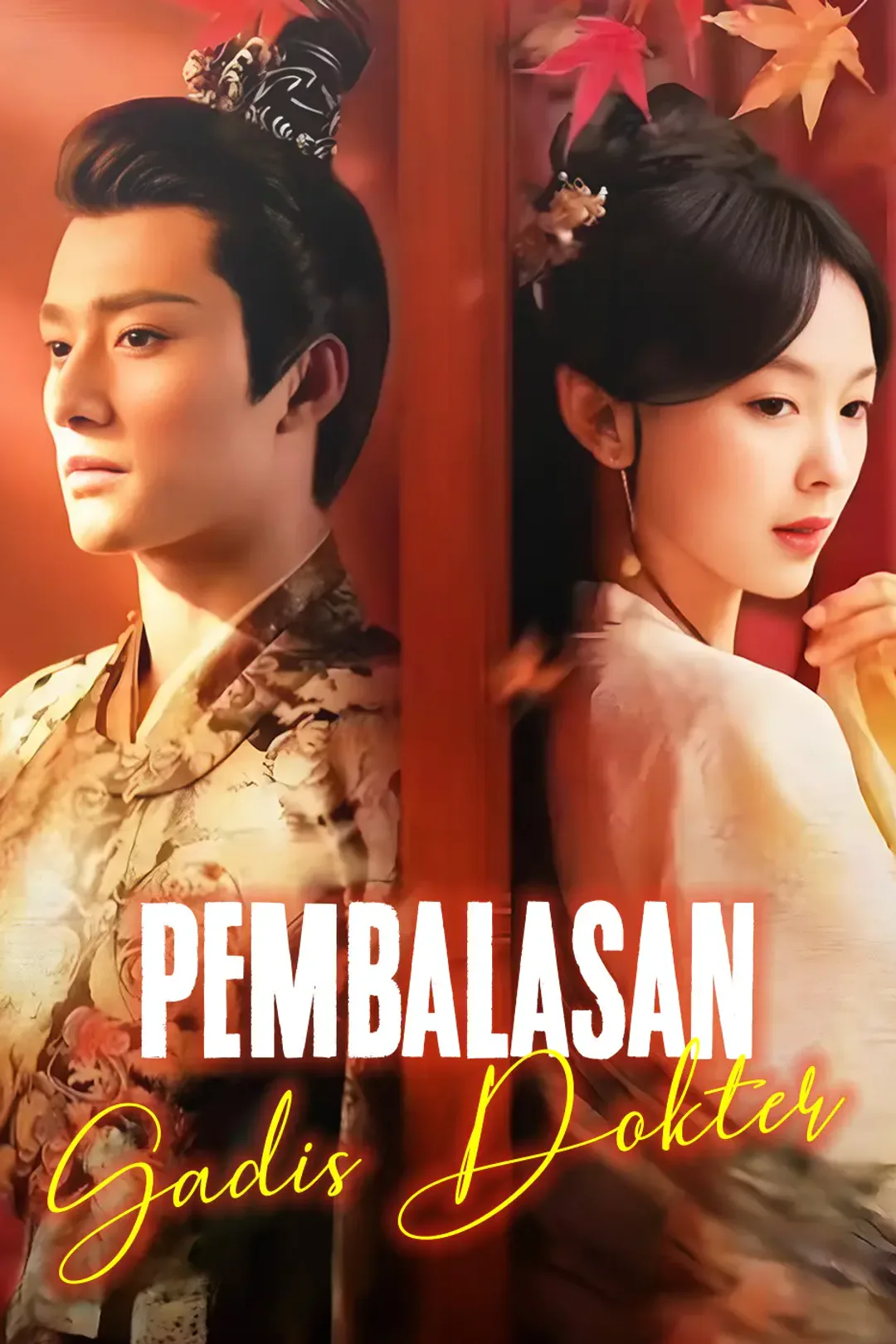Poster Pembalasan Gadis Dokter