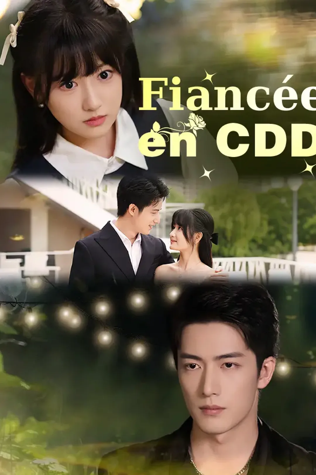 Affiche de Fiancée en CDD