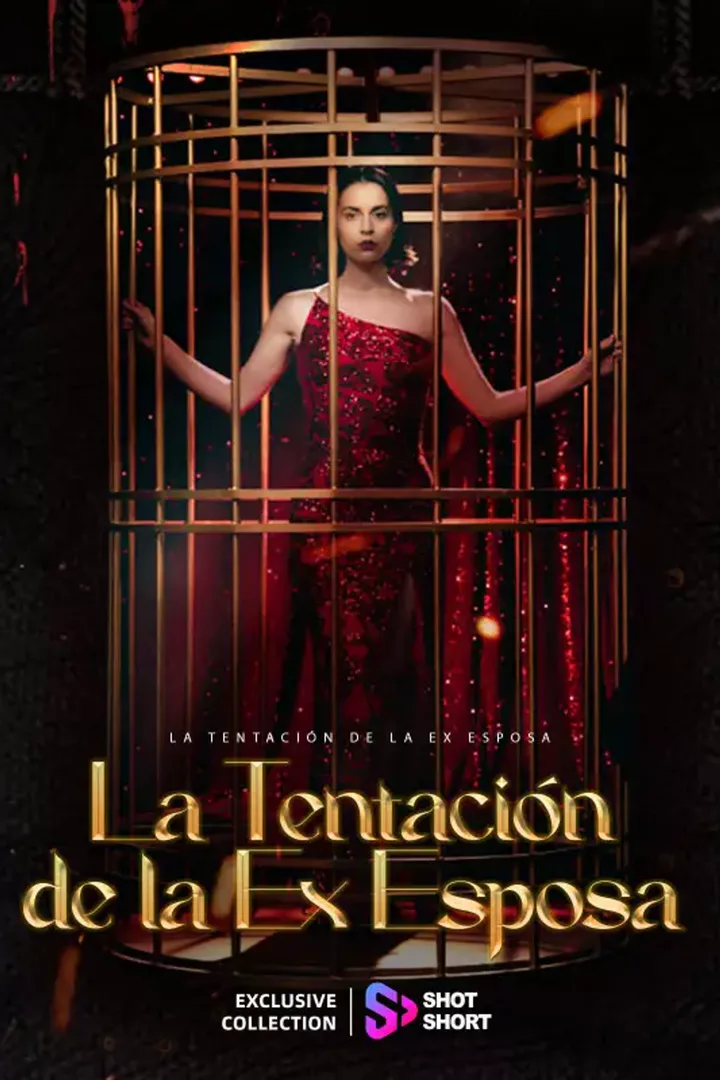 Póster de La Tentación de la Exesposa