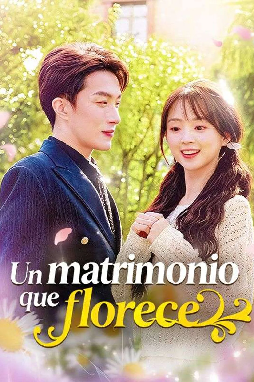 Póster de Un matrimonio que florece