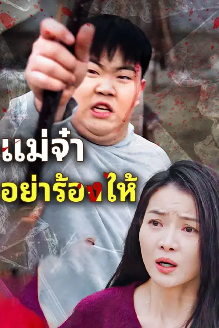 โปสเตอร์ แม่จ๋า อย่าร้องไห้