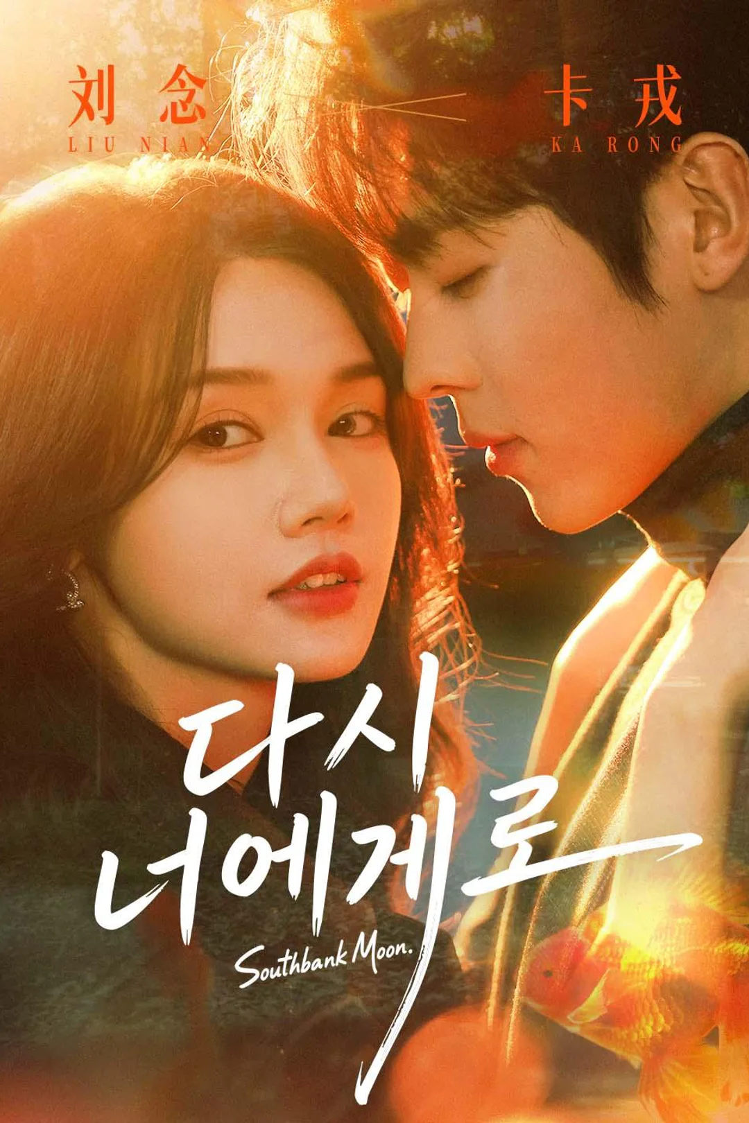 다시 너에게로 포스터
