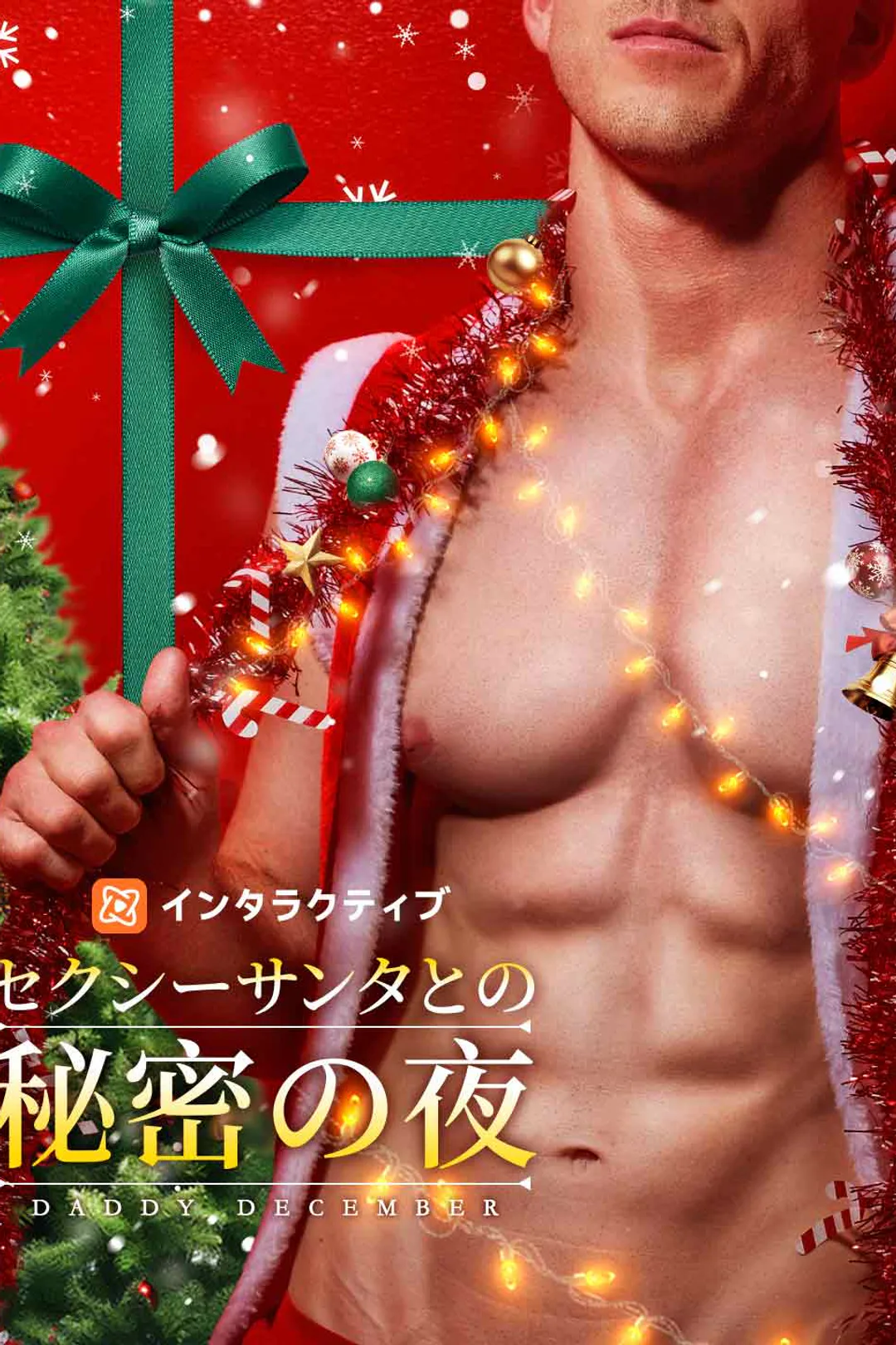 セクシーサンタとの秘密の夜のポスター