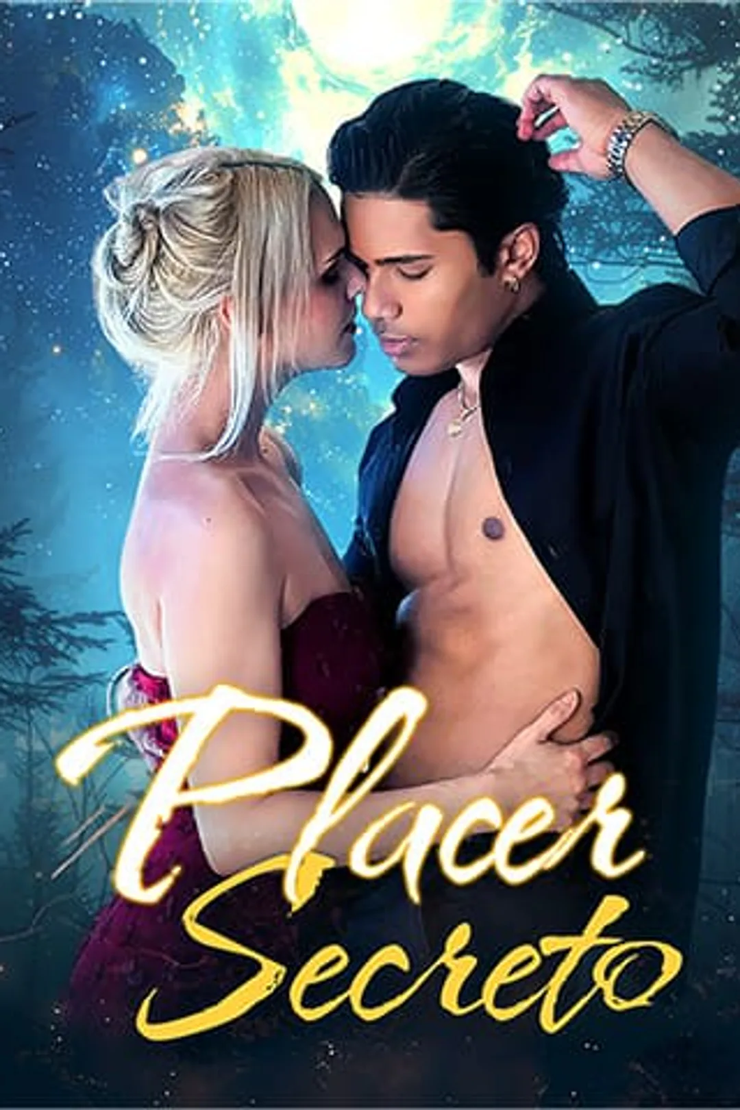 Affiche de Plaisir Secret