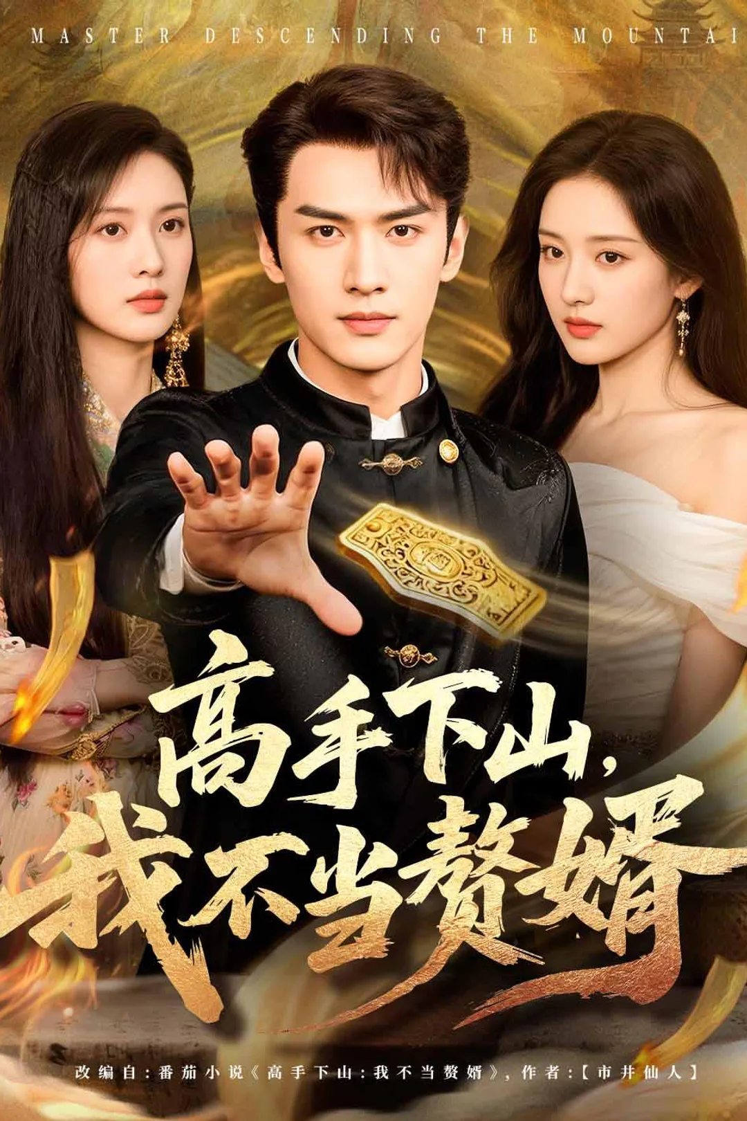 《高手下山，我不当赘婿》海报