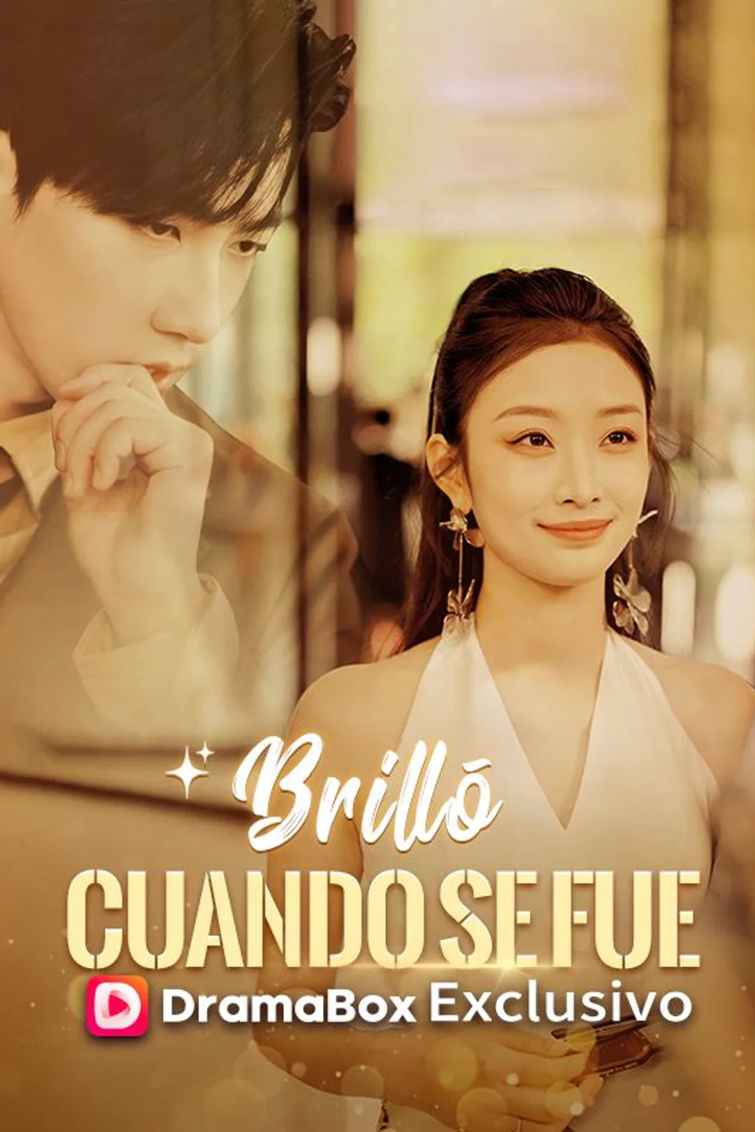 Póster de Brilló cuando se fue