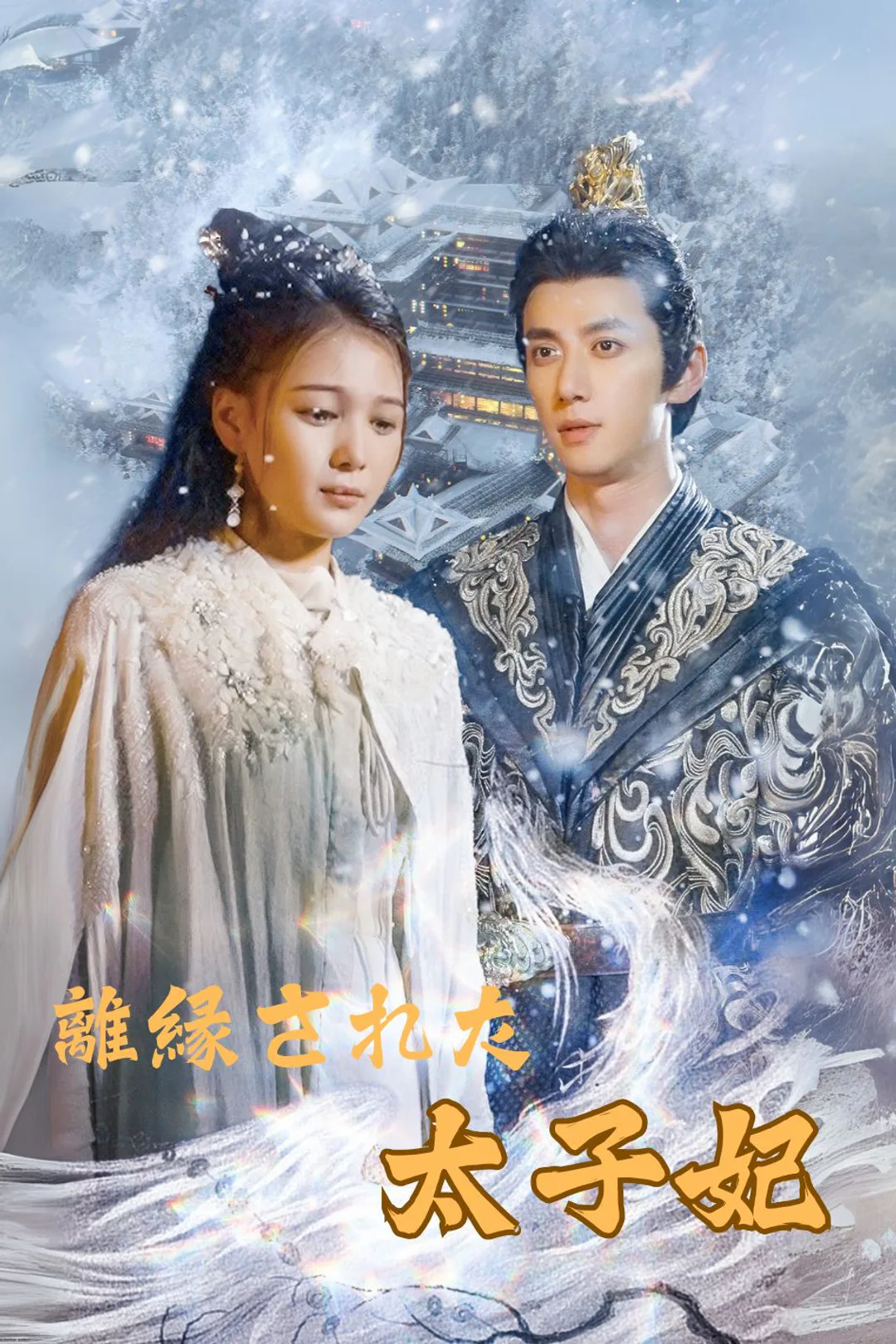 離縁された太子妃のポスター