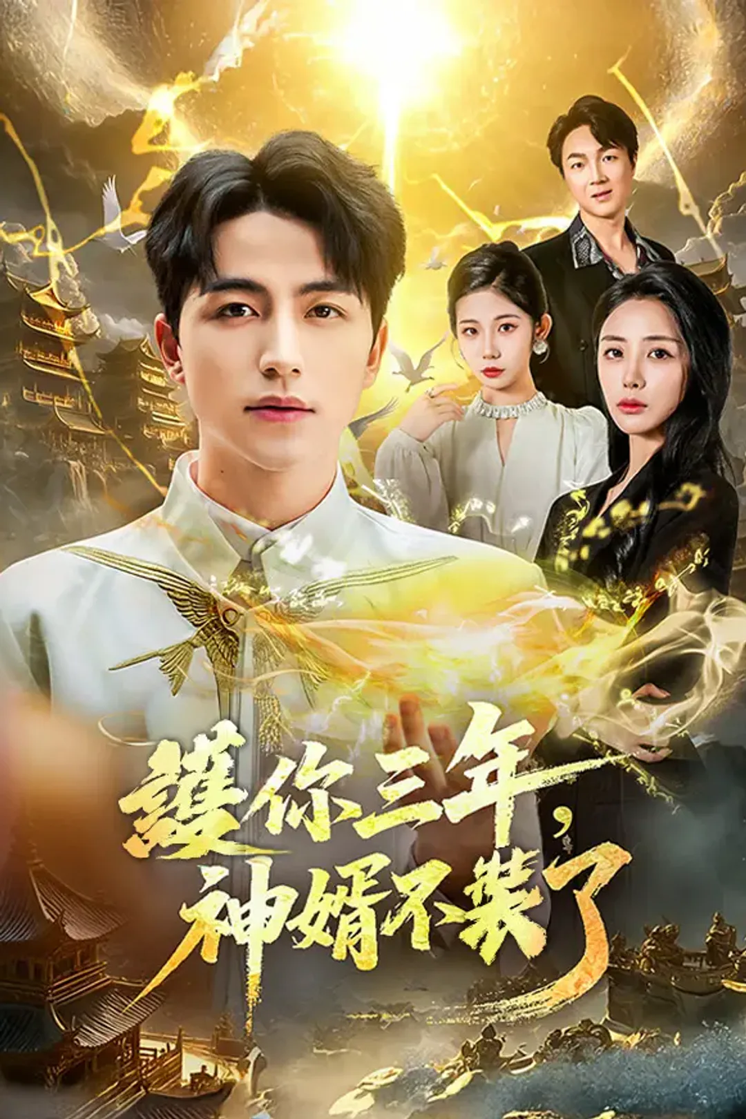《護你三年，神婿不裝了》海報