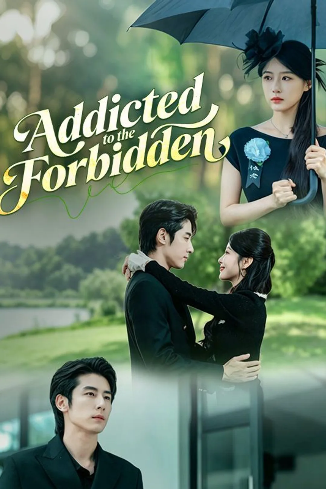 Addicted to the Forbidden poster